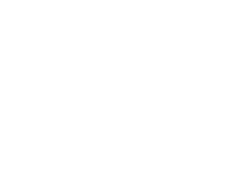UE Pro Logo